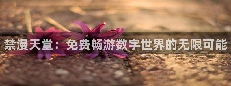 新omofun：禁漫天堂：免费畅游数字世界的无限可能