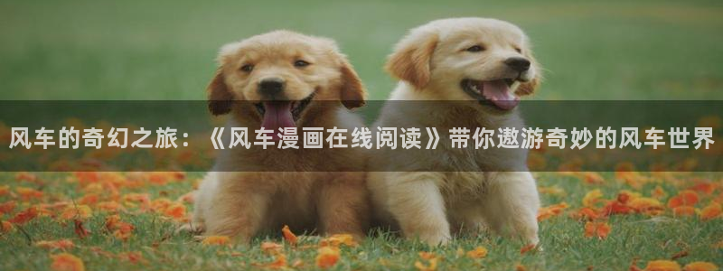 omofun专注动漫官网入口：风车的奇幻之旅：《风车漫画在线阅读》带你遨游奇妙的风车世界