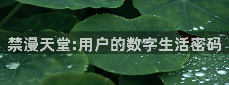 omofun?：禁漫天堂:用户的数字生活密码