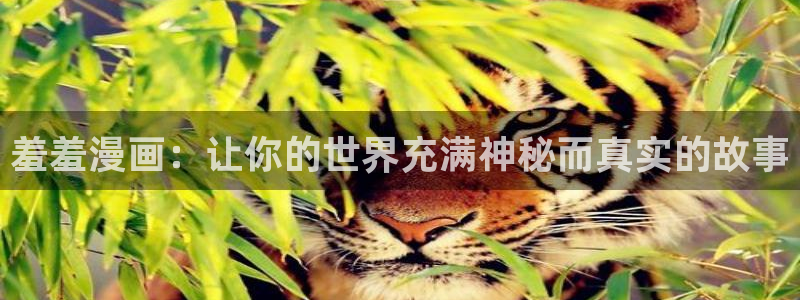 omofun动漫下载ios版：羞羞漫画：让你的世界充满神秘而真实的故事