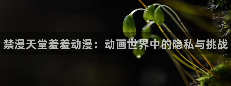 omofun网页版登录入口：禁漫天堂羞羞动漫：动画世界中的隐私与挑战