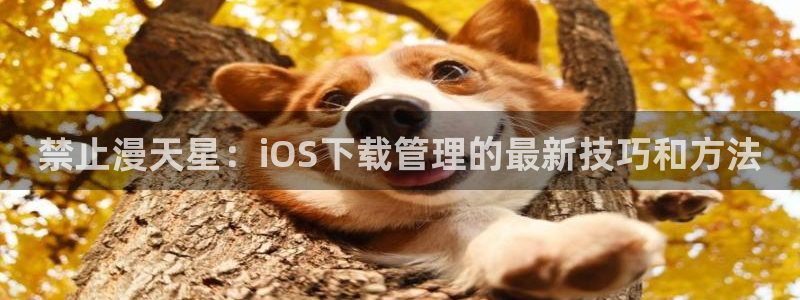 omofun是正经软件吗：禁止漫天星：iOS下载管理的最新技巧和方法