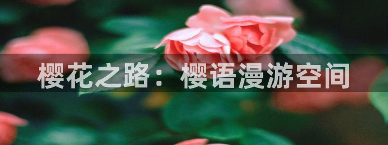 omofun66：樱花之路：樱语漫游空间