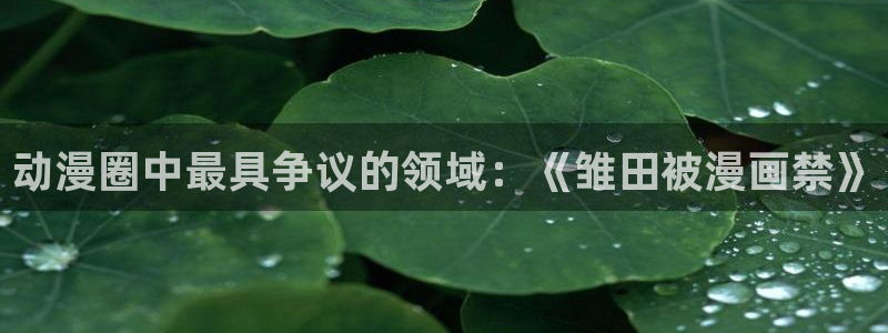 omofun动漫app下载最新版：动漫圈中最具争议的领域：《雏田被漫画禁》