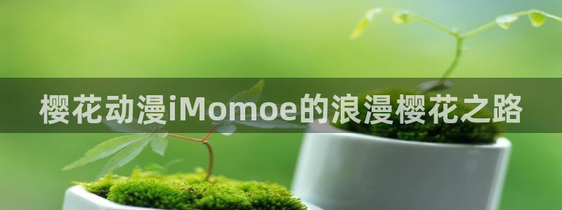 omofun 网站：樱花动漫iMomoe的浪漫樱花之路