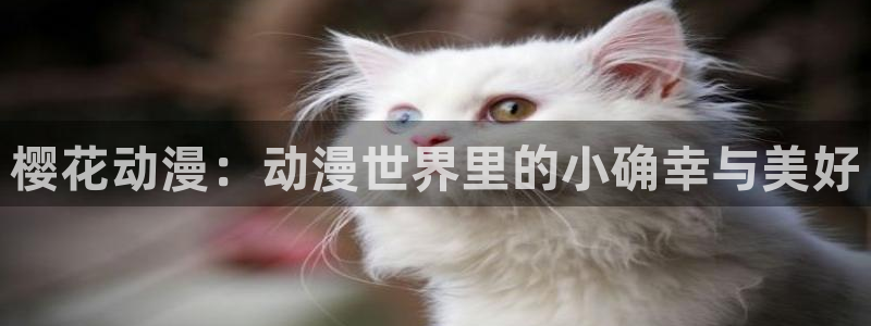 omofun动漫网站：樱花动漫：动漫世界里的小确幸与美好